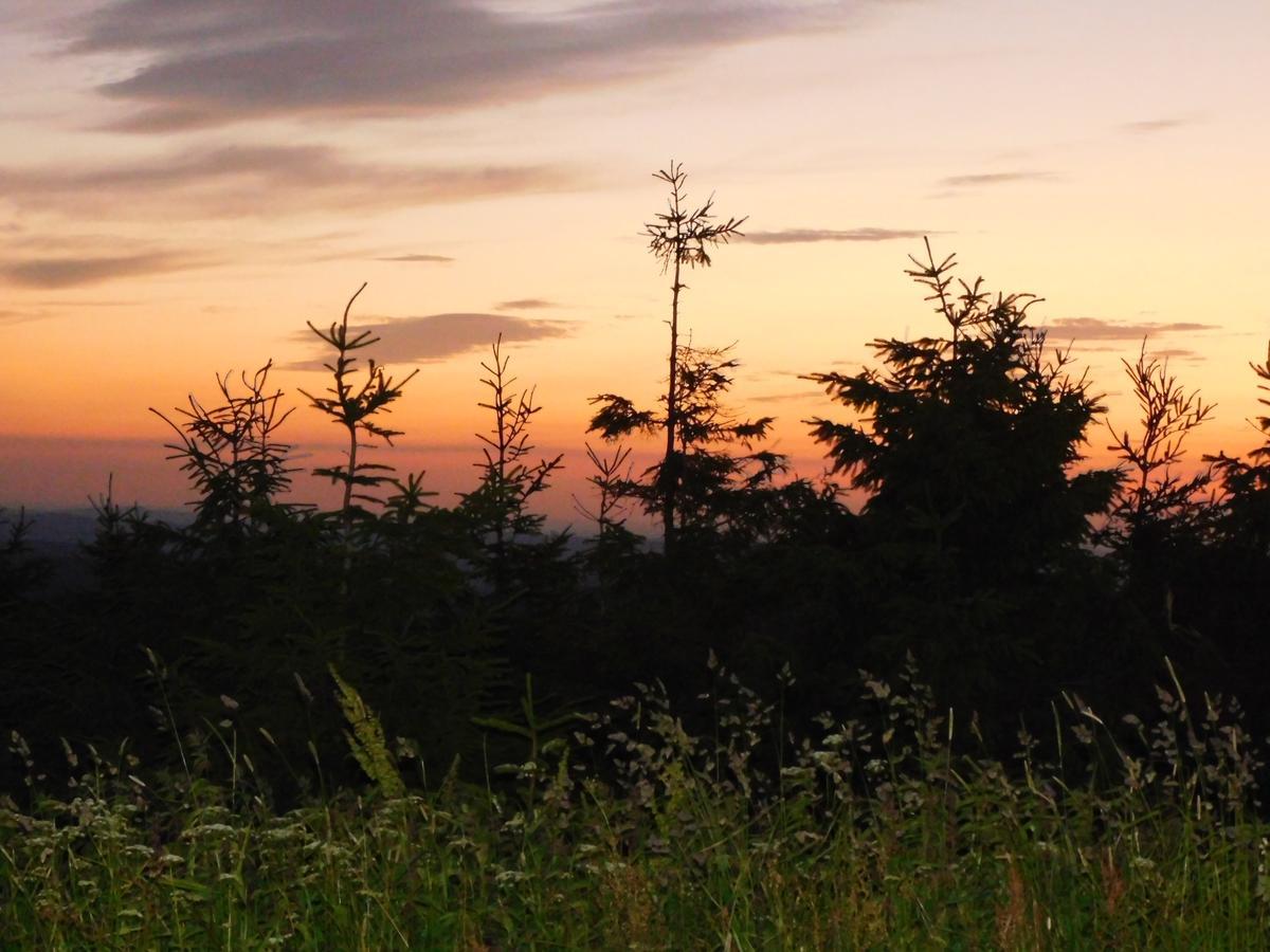 Rathaushotels Oberwiesenthal All Inclusive Esterno foto