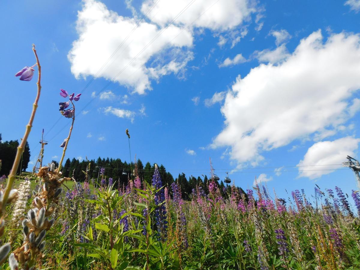 Rathaushotels Oberwiesenthal All Inclusive Esterno foto